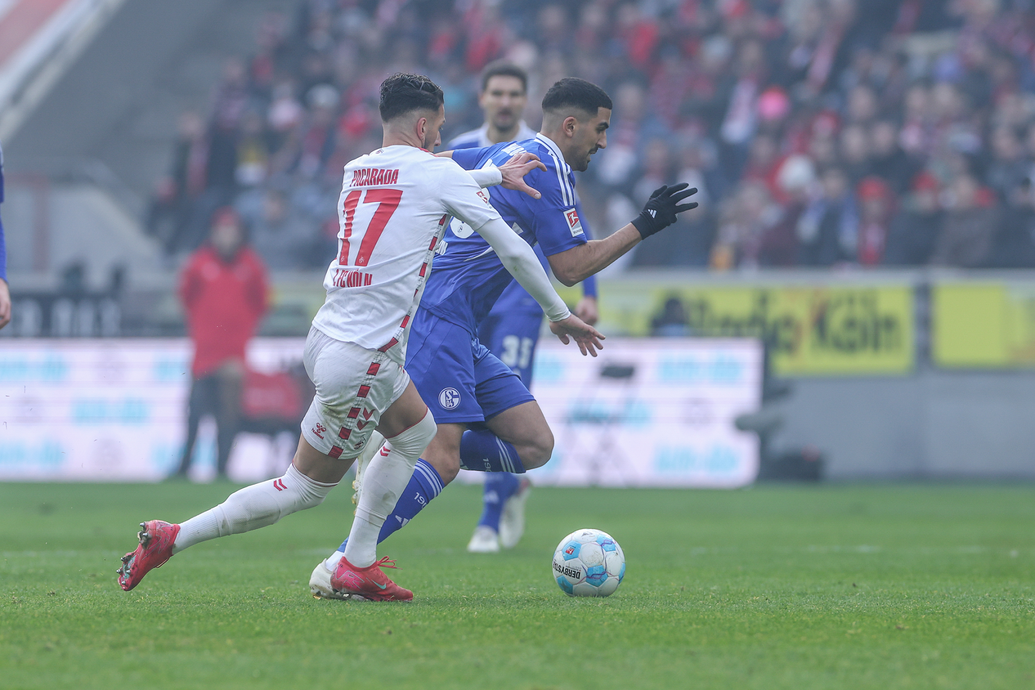 沙尔克队指望主场优势，力争击败对手的简单介绍