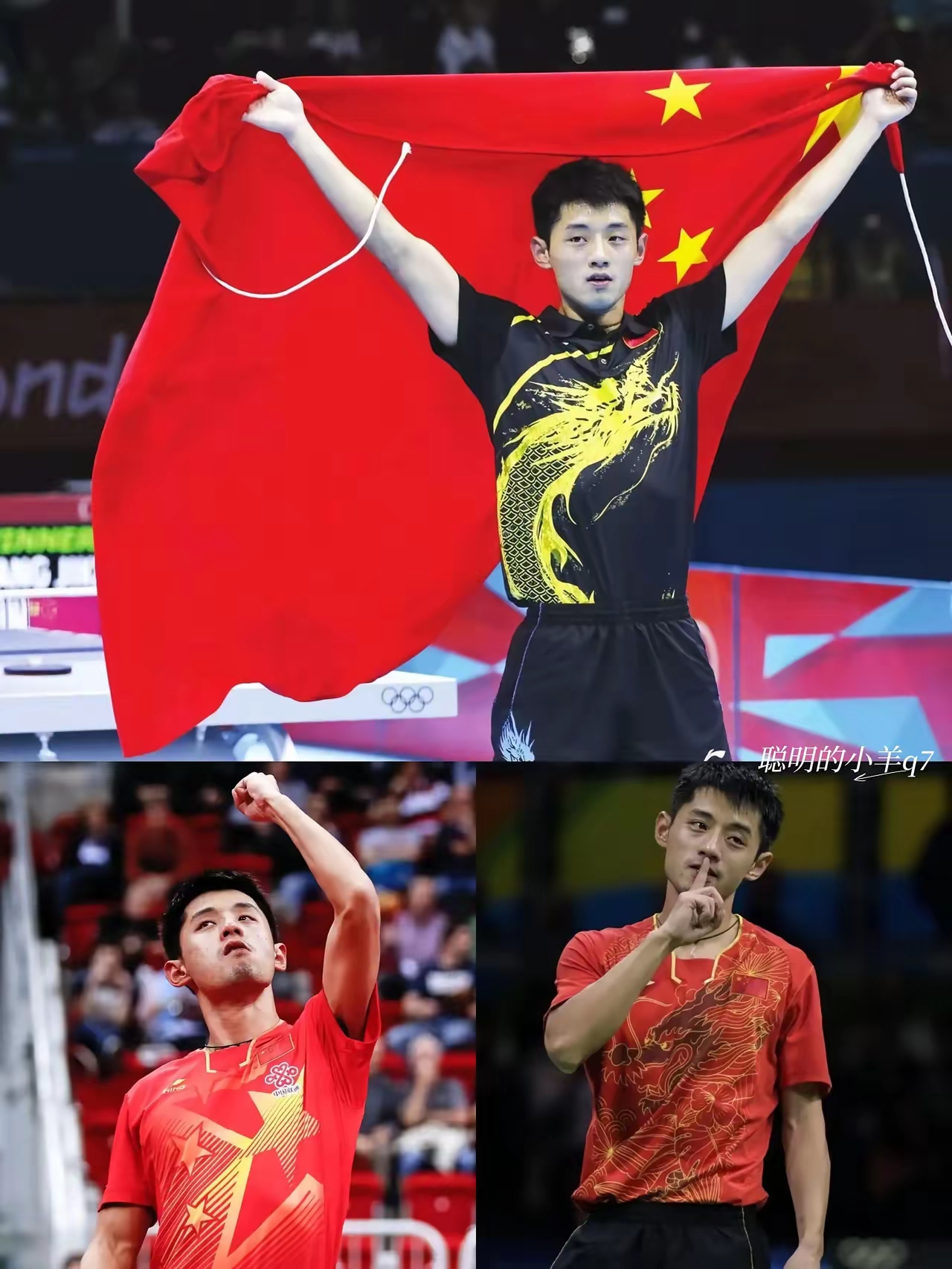 关于中国选手大放异彩，赛场上的风采无人匹敌的信息