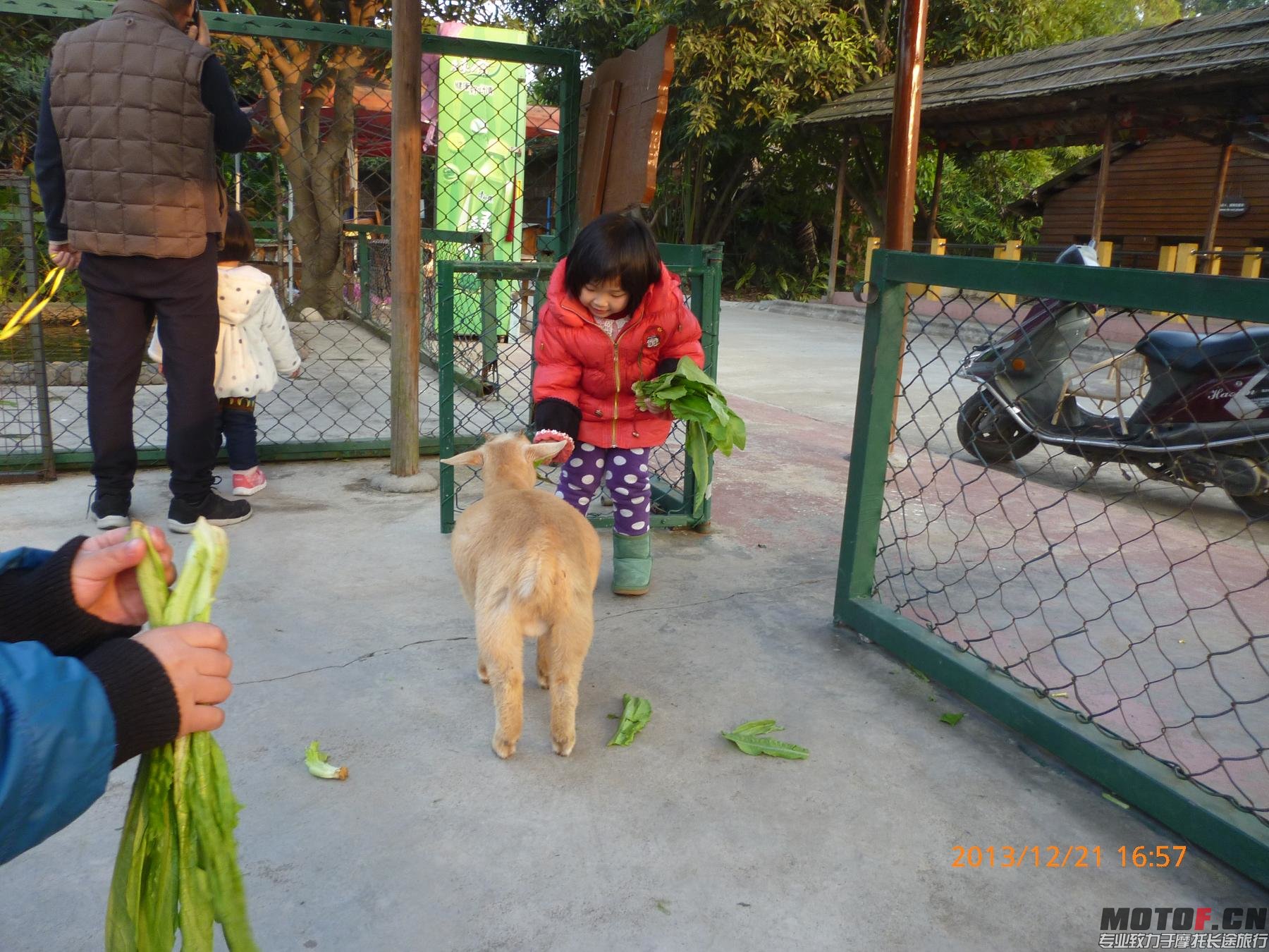 灰狼队队员展示家中训练成果