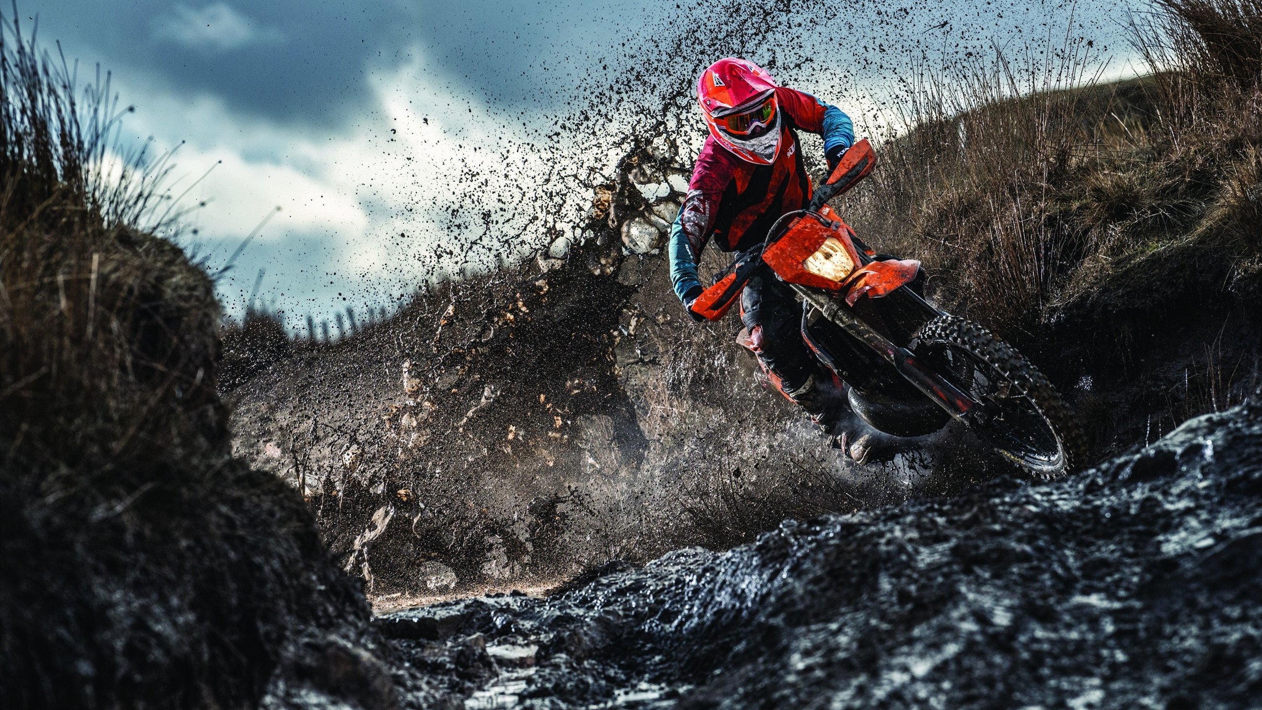 伦纳德掌控全局,森林狼末节逆袭灰熊